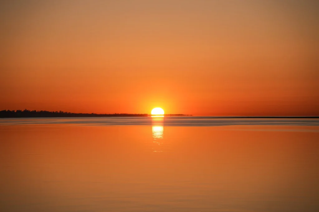 Good Morning Nature